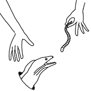 Highslide JS