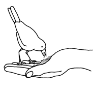 Highslide JS